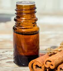 Cinnamon leaf essential oil is extracted from the cinnamon tree, which is native to the sri lanka region. Cinnamon Essential Oil Benefits Uses And Side Effects