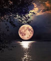 The full moon is the lunar phase when the moon appears fully illuminated from earth's perspective. Full Moon In Singapore Photography By Dotzsoh Beautiful Moon Scenery Beautiful Nature