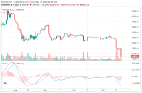 plunging stock crypto markets leave investors searching for