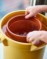 Terracotta pots can be found all over our home. How To Soak A Terracotta Pot Before Planting Apartment Therapy