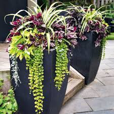 Planters Gardening For Beginners Porch Flowers Backyard Planters Porch Landscaping