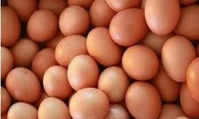 Peternak ayam negeri di wonokoyo, kecamatan dua hari sekali satu ton biasanya, ucap dani, minggu (12/7/2020). Pemerintah Kabupaten Sumedang