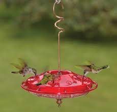 Give your hummingbird feeder space between other feeders, and establishing better perch can also hold nectar, but unlike saucer feeders, it is easier to check the nectar levels in bottles. Duncraft Com Aspects Hummzinger Fancy Hummingbird Feeder