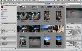 Review: Adobe Photoshop Cs4 | Creativepro Network