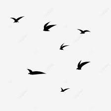 All of the flying birds on this list can reach up to at least 26 lbs, with the largest weighing over 40 lbs! Flying Birds In The Sky Bird Group Flying Bird Dove Sky Flying Png Transparent Clipart Image And Psd File For Free Download