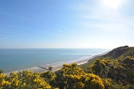 Maybe you would like to learn more about one of these? Cromer Cottages Norfolk Cottages