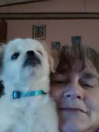 Monica Rose (Jordan) Cogar, 60, of Webster Springs passed away