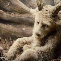 Donde Viven Los Monstruos 2009 Pelicula Ecartelera