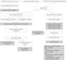 Flow Chart Showing The Investigation And Diagnoses Of The