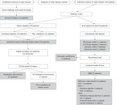 flow chart showing the investigation and diagnoses of the