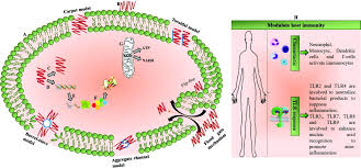 Marie kondo livro pdf download. D Amino Acids In Antimicrobial Peptides A Potential Approach To Treat And Combat Antimicrobial Resistance