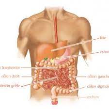 Check spelling or type a new query. Il Y A Une Vie Apres Le Cancer Du Colon Cancer Colorectal Medipedia