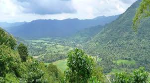 Proposal wisata alam.pdf download here 1 / 2 perancangan dan pembuatan video promosi sebagai taman wisata alam laut. Hutan Bowosie Dalam Ancaman Proyek Wisata Mongabay Co Id