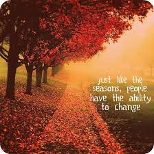 Pretty Leaves And Good Quote Autumn Quotes Season Quotes Picture Quotes