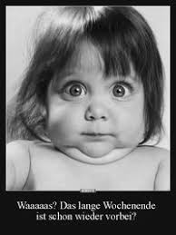 Ronald Möller (moellerronald123)