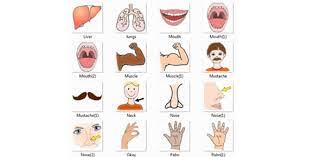 In which month of 1939 did germany invade poland? Learn Polish Body Parts Proprofs Quiz