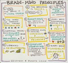 Brain And Learning Brain Based Learning Whole Brain Teaching Brain Based Teaching