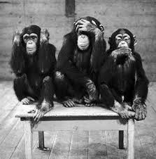 The Famous Monkey Trio Hear No Evil See No Evil Speak No Evil With Images Three Wise Monkeys Wise Monkeys Monkey Art