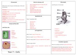 We did not find results for: Y7 Cells Revision Mat Answers