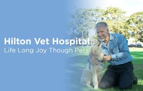 They have awesome communition when it comes to work. Your Best Vet For Pet Care And Cruciate Ligament Surgery Hilton Vet Hospital