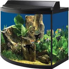 Aqueon 36 Gallon Deluxe Aquarium Kit Size 36 Gal Aquarium Kit Aquarium Bow Front Aquarium