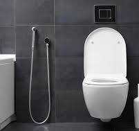 How to Clean a Smart toilet: Maintain Your Smart Toilet