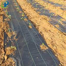 More reasons for not buying landscape fabric. Black Plastic Woven Fabric Pp Woven Landscape Fabric Weed Control Fabric China Weed Control Mat And Pp Weed Mat Price Made In China Com