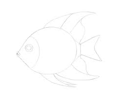 How To Draw A Tropical Fish This is a perfect cartooning with over a thousand simple drawing lessons for you and your kids to follow along with.