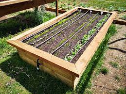 Check spelling or type a new query. Potager Paysans De Jardin