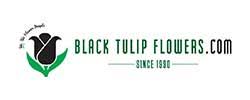 Black tulip flowers discount code. Black Tulip Flowers Discount Code 2021 10 Off Black Tulip Flowers Coupons Coupon Codes