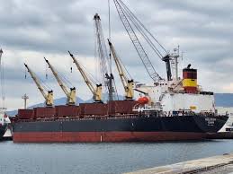 Image result for Green Izmir 1995 Fleet