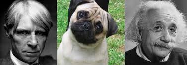E T S Face Was Modeled After The Poet Carl Sandburg A Pug And Albert Einstein Extra Terrestrial Pugs Fun Facts