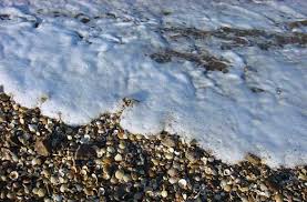 Seguramente has oído hablar más de una vez que cuando el agua está mientras más baja es la temperatura del mar, más tiempo permanece la espuma. Espuma Marina Fotos De Mar Del Plata Archivo Wa 3472