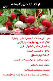 fawad horseradish فوايد الفجل fawad horseradish camelliaaesthetic camelliabackground camellia health food health and nutrition health fitness nutrition
