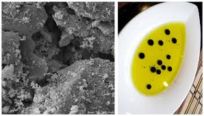 Pest problems are a fact of life in georgia, making it important to. Sustainability Free Full Text Rethinking Filter An Interdisciplinary Inquiry Into Typology And Concept Of Filter Towards An Active Filter Model Html