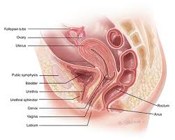 Now, i have a yeast infection, feels like i still have a slight. Yeast Infections Symptoms Diagnosis Treatment Urology Care Foundation
