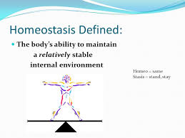 Unit 1 Homeostasis Introduction Ppt Video Online Download