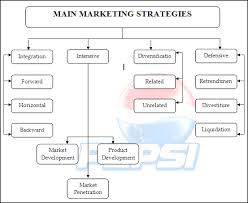 Pepsi Strategic Management Project Report Bohat Ala