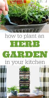 We did not find results for: How To Plant A Kitchen Herb Garden