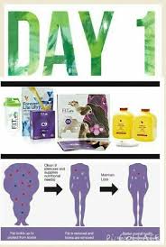 The Clean 9 Program Can Help You To Jumpstart Your Journey To A Slimmer Healthier You This Effectiv Forever Living Products Forever Products Forever Business