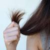 We've found the 7 best shampoos for dry hair that'll restore your if you've noticed an increase in split ends or feel like you have frizzy hair, you're likely in need of some hydrating asap. 1