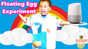 Google Home Floating Egg Experiment Hey Google How To Make Egg Fl Egg Experiments Science Experiments Kids Floating Eggs