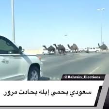 السعودية بالفيديو سعودي يحمي إبله بحادث مرور تسبب مالك إبل بحادث مروري على طريق سريع بمدينة الخبر في السعودية بعدما حاول حم In 2020 Sporty Outfits Election 90 S