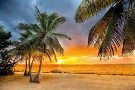 Compare prices & save money on tripadvisor (the world's largest travel website). Key West Public Beaches Bascom Grooms Real Estate