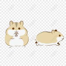 Baca selengkapnya hamster picture 835 1000 jpg. Free Cartoon Cute Hamster Hand Drawn Cartoon Image Png Ai Image Download Size 2000 2000 Px Id 832286701 Lovepik