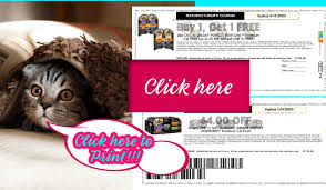 Why do we need a my perfect pet diet? 2 Hot Printable Coupons For Sheba Cat Food Your Cat Doesn T Want You To Miss My Publix Coupon Buddy
