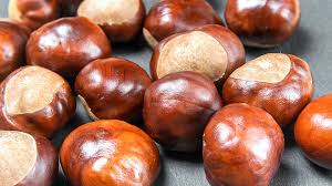 In secondo luogo, le cosiddette castagne commestibili. Castagne Matte Come Distinguere I Frutti Tossici Da Quelli Commestibili Altroconsumo