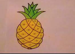 how to draw pineapple plant activities drawings pencil drawings