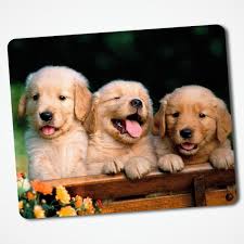 Mouse Pad Cachorro Golden Retriever No Elo7 Laudadio 13dab7c