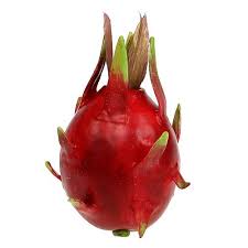 The dragon fruit cactis fruit name is interchangeable with pitaya fruit or also pitahaya fruit (also pitajaya fruit) and sometimes strawberry pear or as one word, strawberrypear. Drachenfrucht 15cm Rot 1st 513127 26 Preiswert Online Kaufen